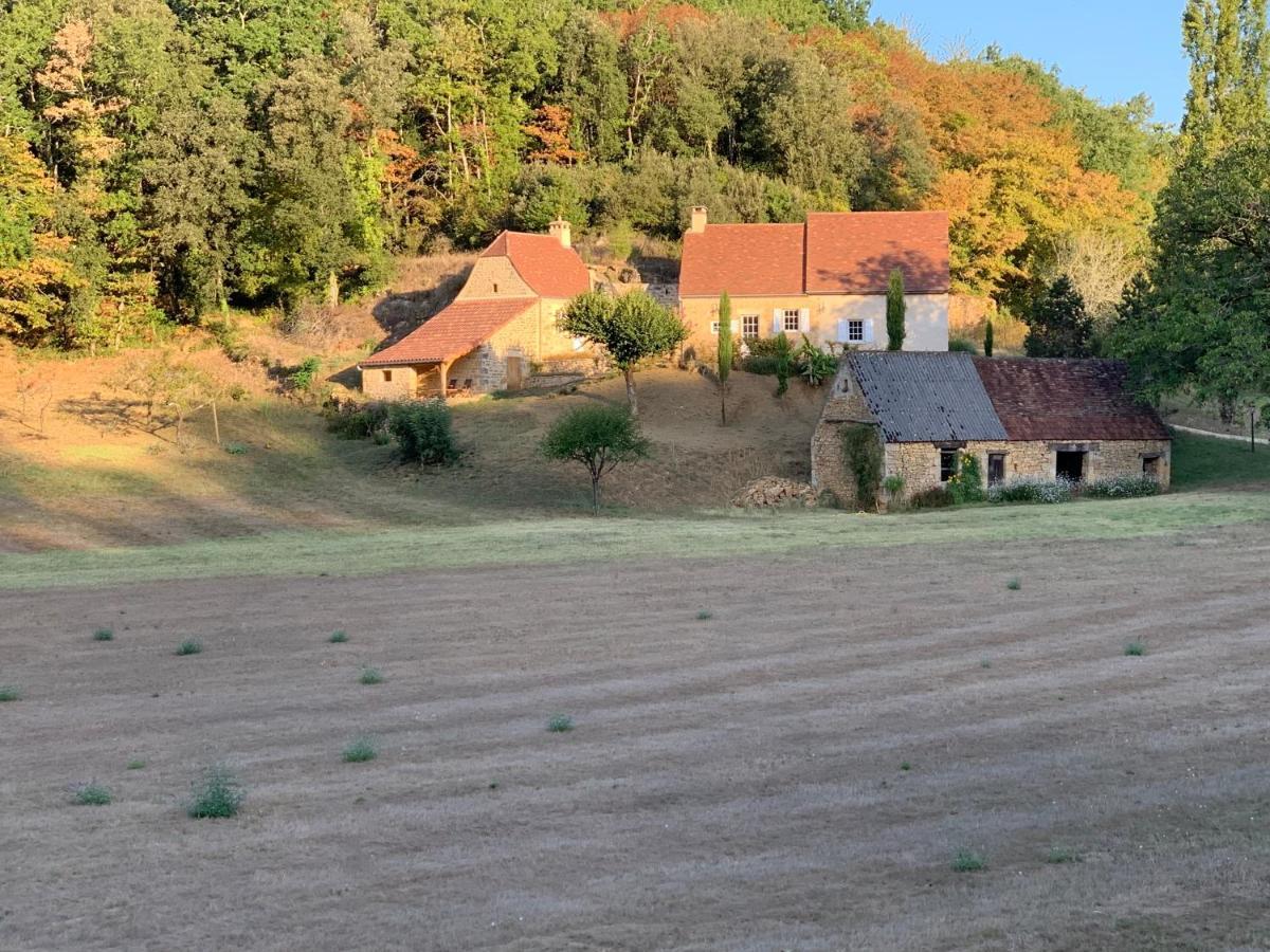 Gite Chez Le Gaulois Carsac-Aillac Exterior foto